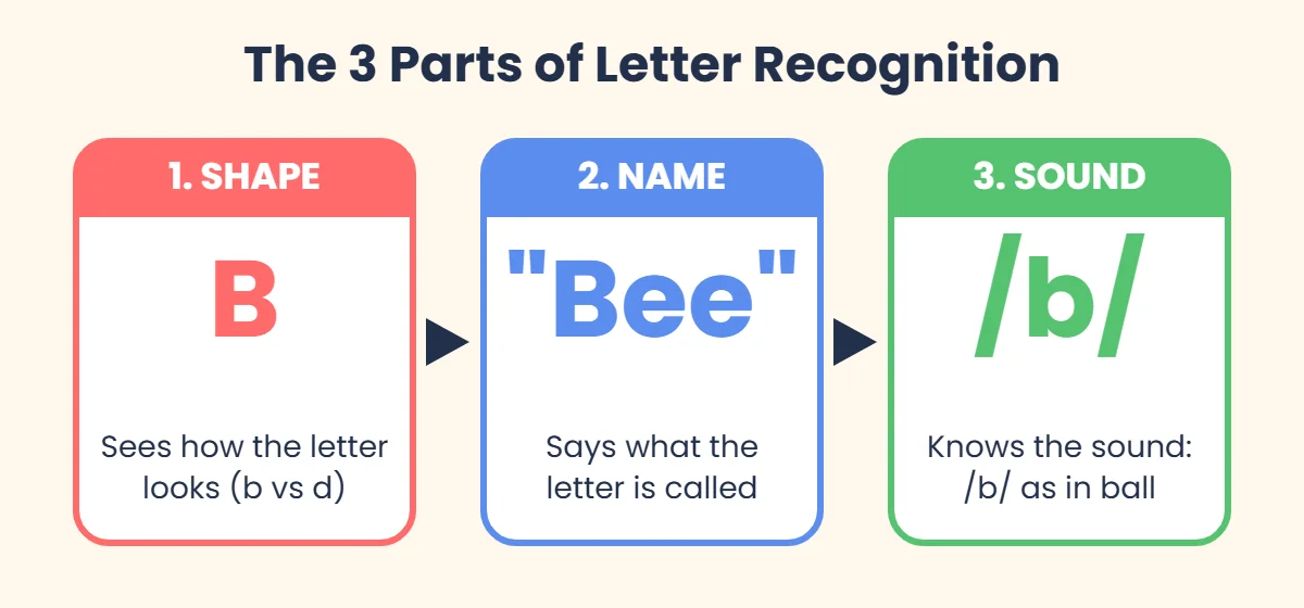 Diagram showing the 3 parts of letter recognition: shape, name and sound